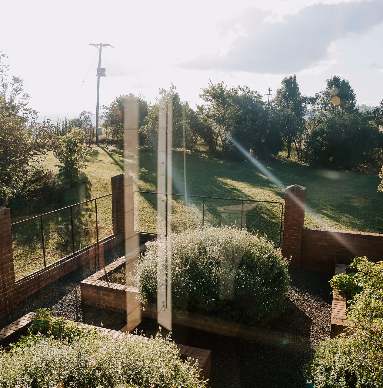 Sunlit garden with trimmed bushes, brick borders, and green grass with trees in the background.