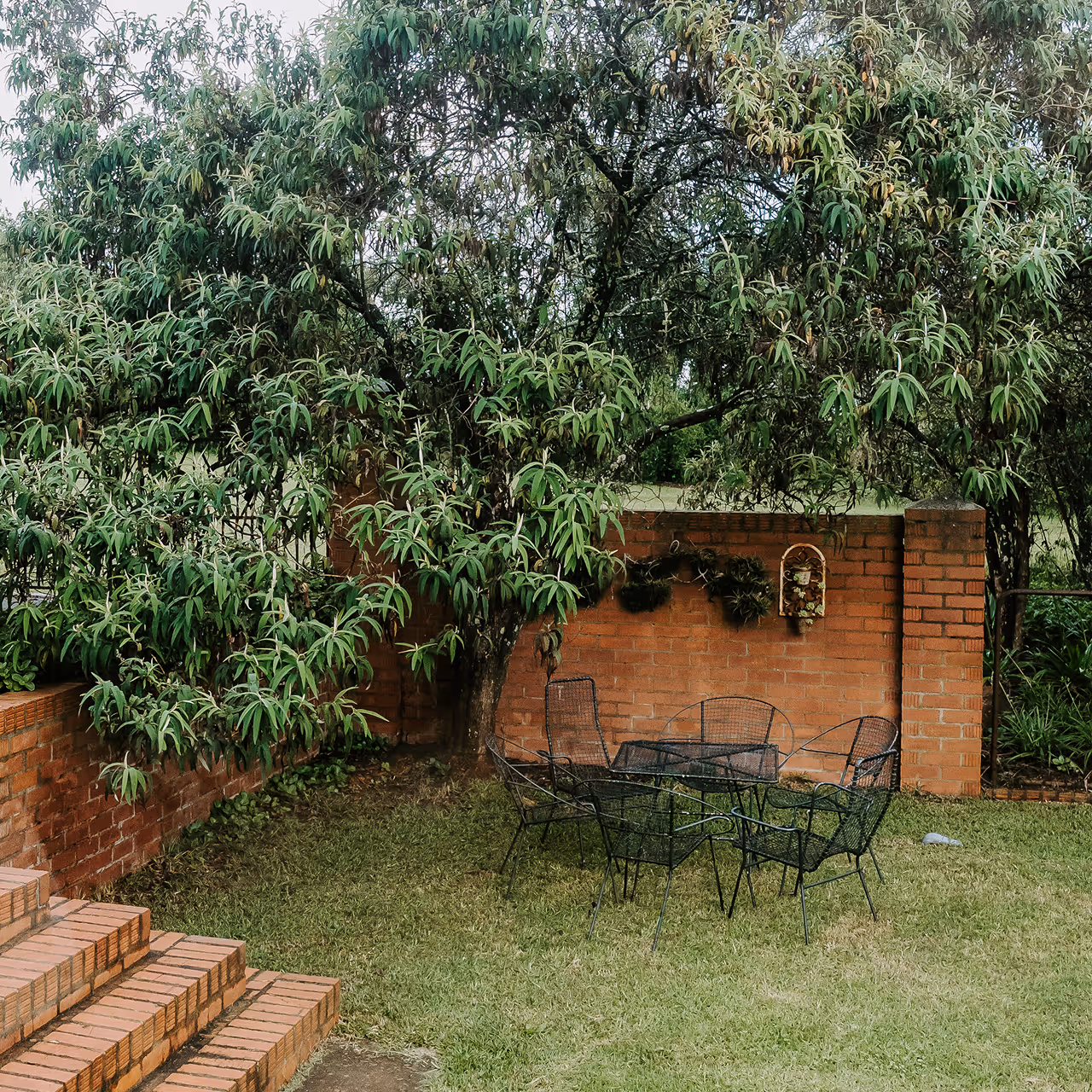 Outdoor seating area with black metal chairs and table on grass beside brick steps and a large leafy tree.