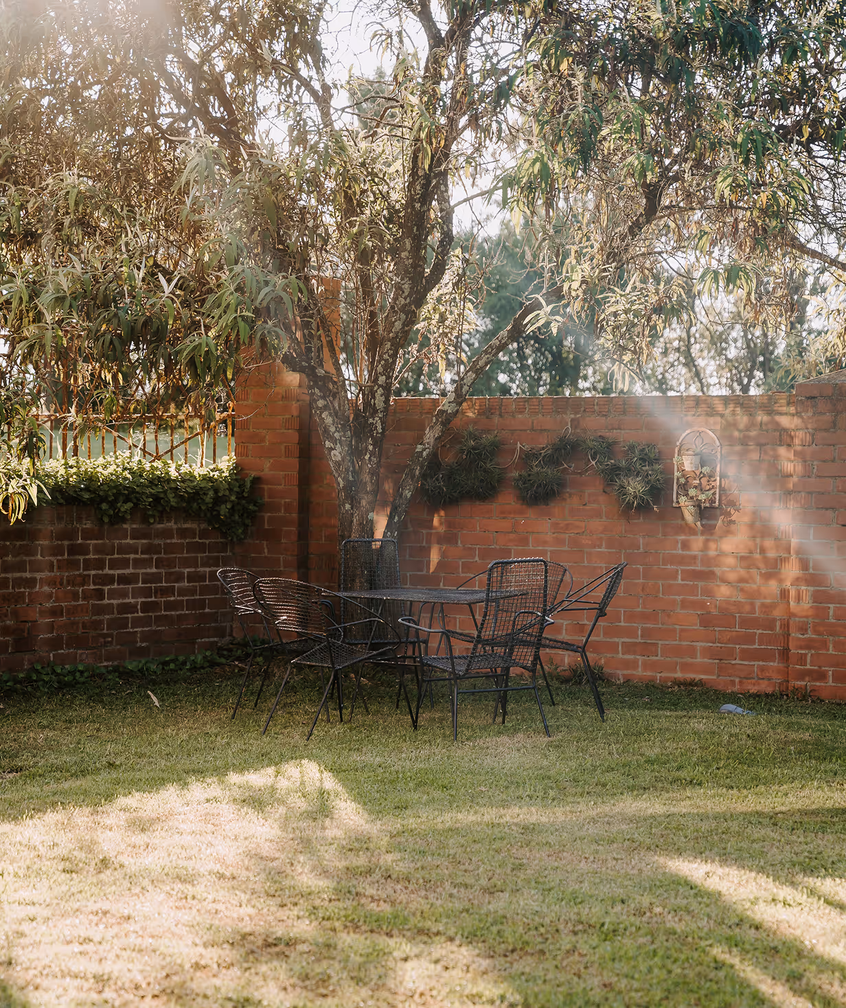 Outdoor seating area with metal table and four chairs under a tree next to a brick wall with hanging plants.