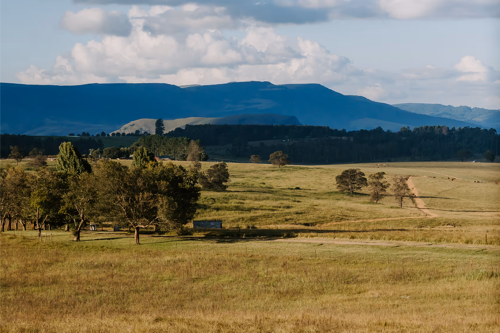 Rural landscape with open grassy fields, scattered trees, a dirt road, and distant blue mountains under a partly cloudy sky.